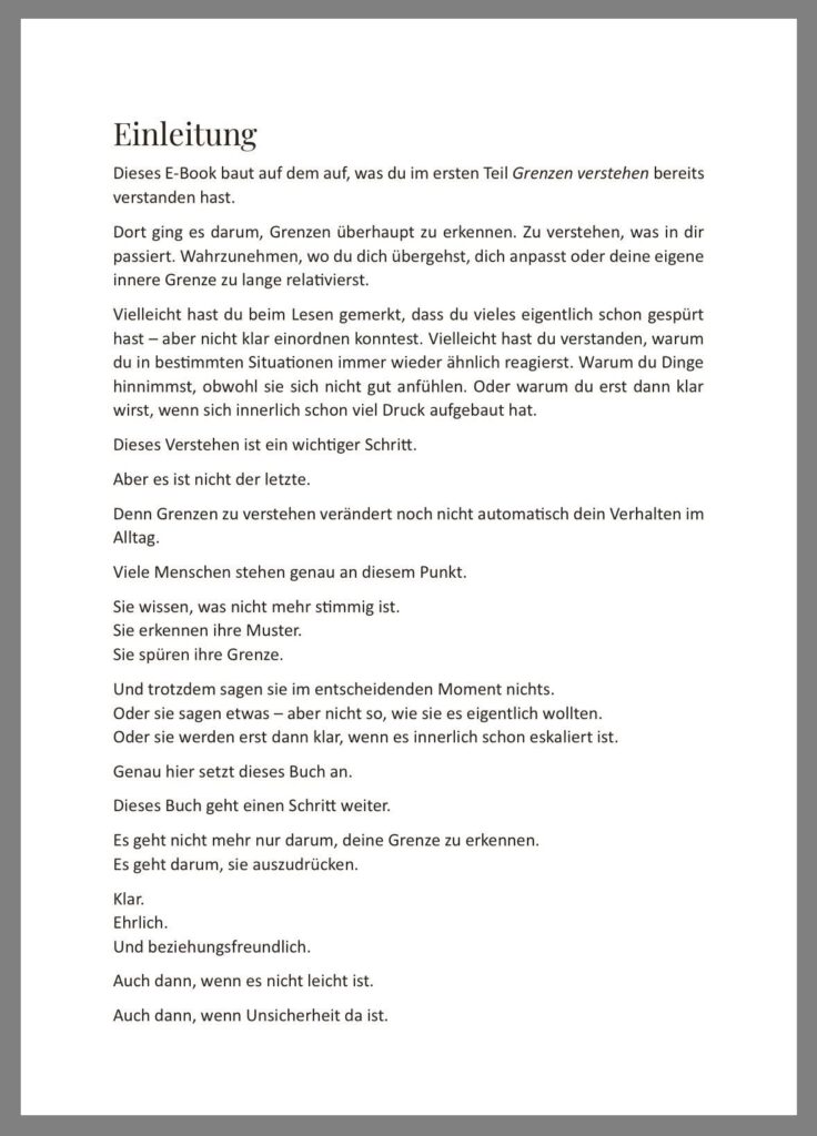 Leseprobe E-Book: Grenzen setzen und Nein sagen lernen